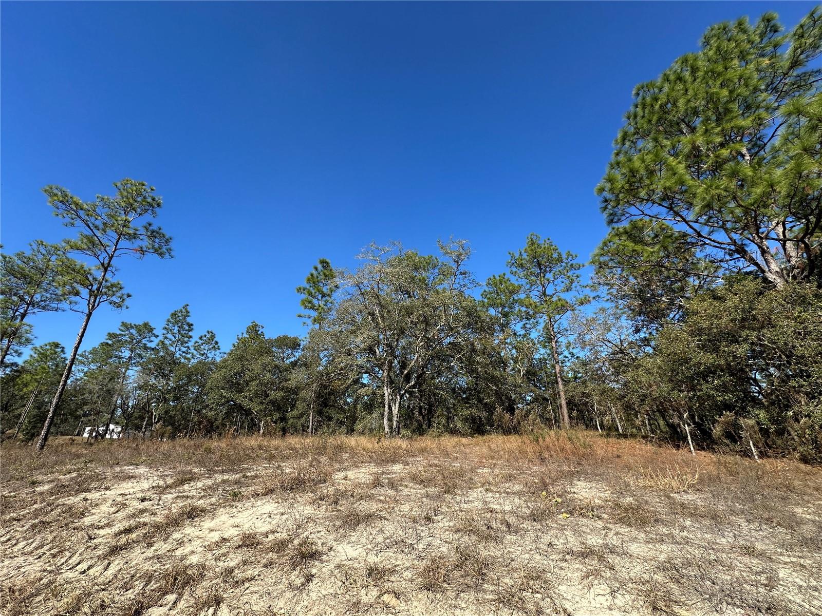 WILLISTON HIGHLANDS UNIT 7 - Land