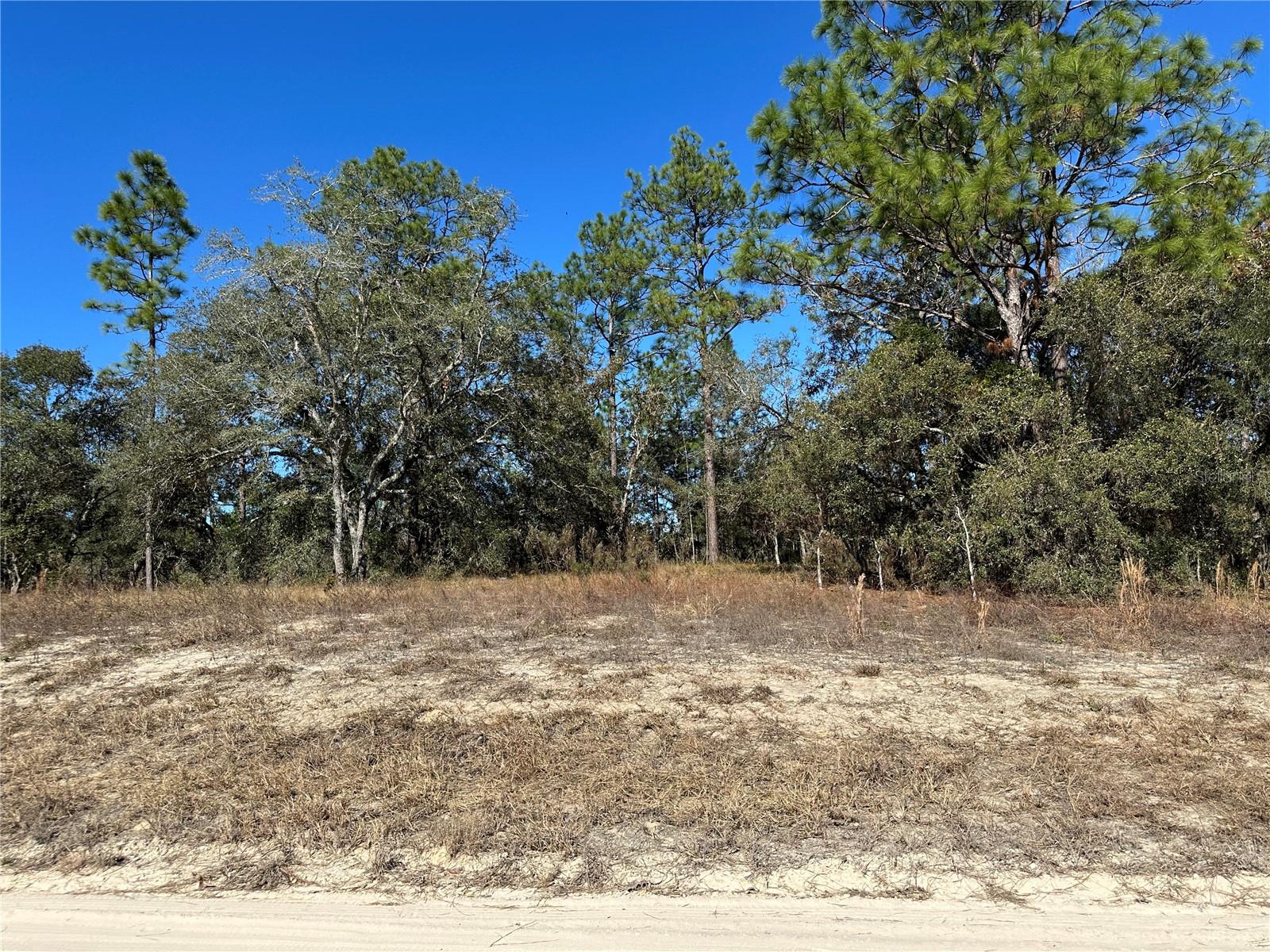 WILLISTON HIGHLANDS UNIT 7 - Land