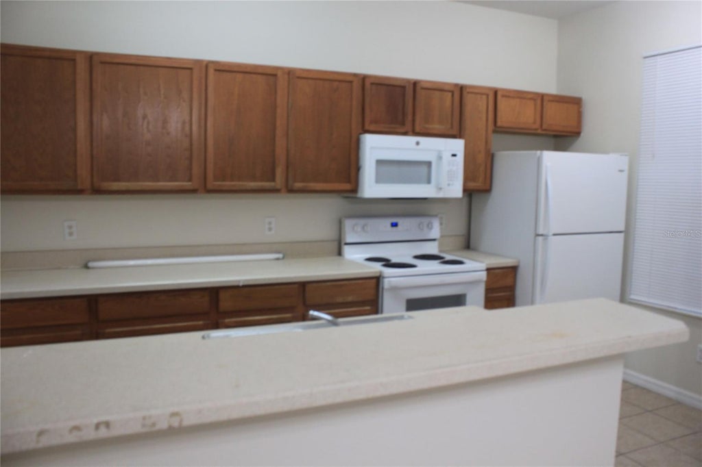 Photo of 2468 Temple Grove Lane, Kissimmee, FL 34741 (MLS # O6438867)