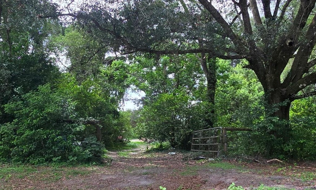 Photo of 21320 Seneca Hills Road, Eustis, FL 32736 (MLS # R4911536)