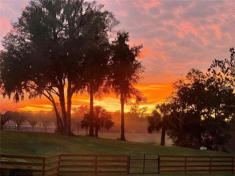 Tiny photo for 7650 N Whippoorwill Terrace, Hernando, FL 34442 (MLS # TB8494011)