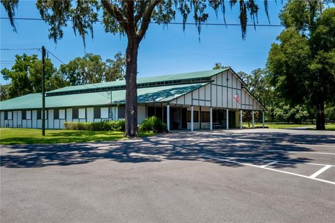 Tiny photo for 7650 N Whippoorwill Terrace, Hernando, FL 34442 (MLS # TB8494011)