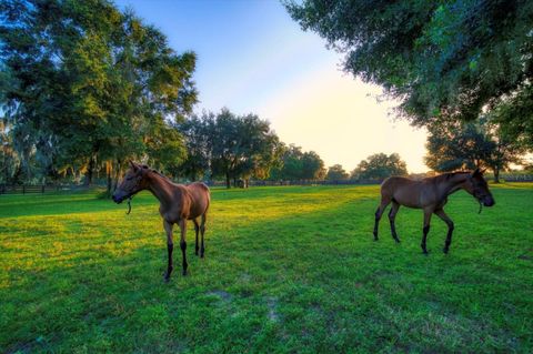 Tiny photo for 7650 N Whippoorwill Terrace, Hernando, FL 34442 (MLS # TB8494011)