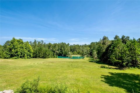 Tiny photo for 7650 N Whippoorwill Terrace, Hernando, FL 34442 (MLS # TB8494011)