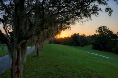 Tiny photo for 7650 N Whippoorwill Terrace, Hernando, FL 34442 (MLS # TB8494011)