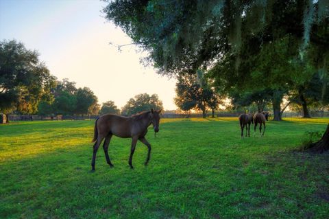 Tiny photo for 7650 N Whippoorwill Terrace, Hernando, FL 34442 (MLS # TB8494011)
