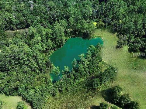 Tiny photo for 7650 N Whippoorwill Terrace, Hernando, FL 34442 (MLS # TB8494011)