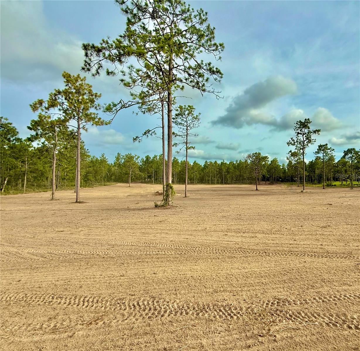 TRIPLE CROWN FARMS SUB - Land