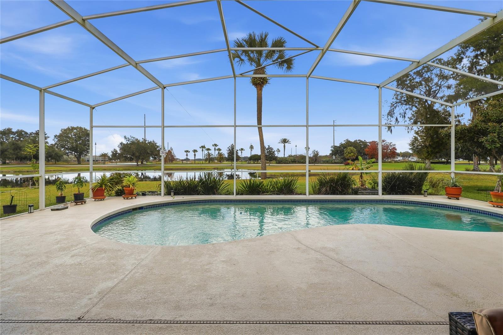 FOREST AT RIDGEWOOD - Residential