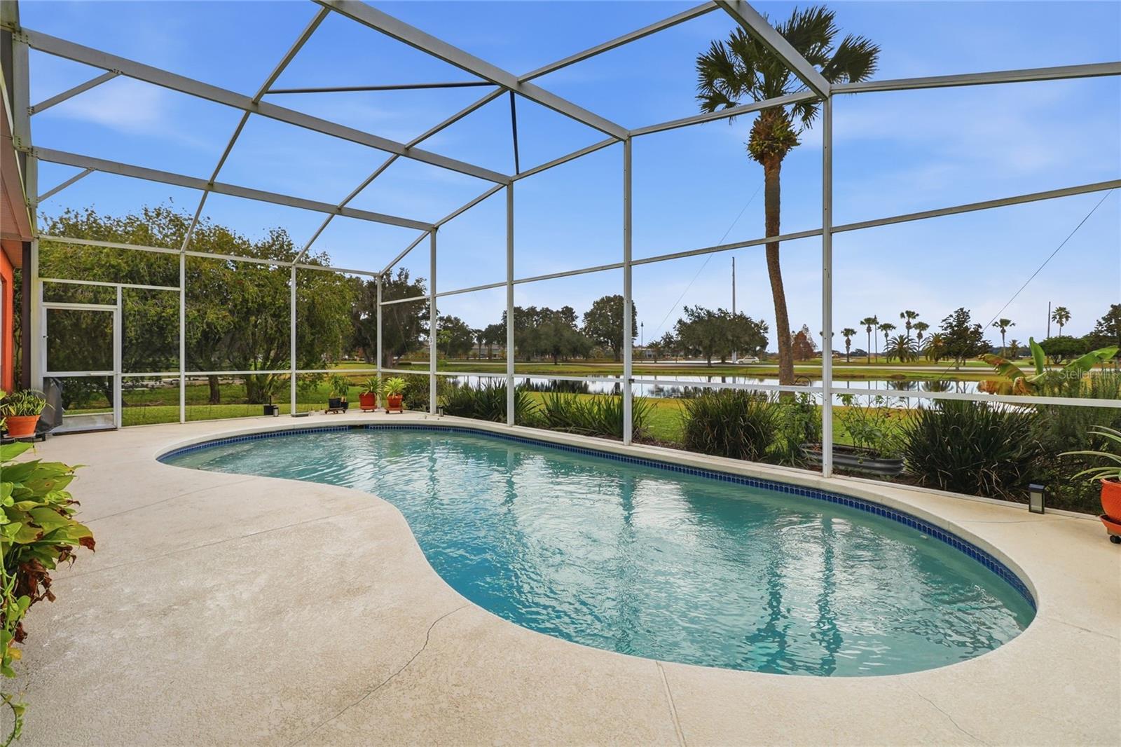 FOREST AT RIDGEWOOD - Residential