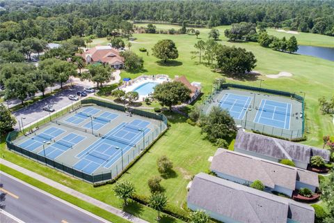 A home in MOUNT DORA