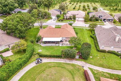 A home in MOUNT DORA