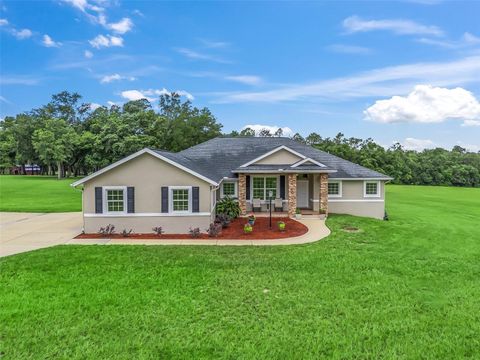 Tiny photo for 41525 Saddle Ridge Lane, Weirsdale, FL 32195 (MLS # G5099447)