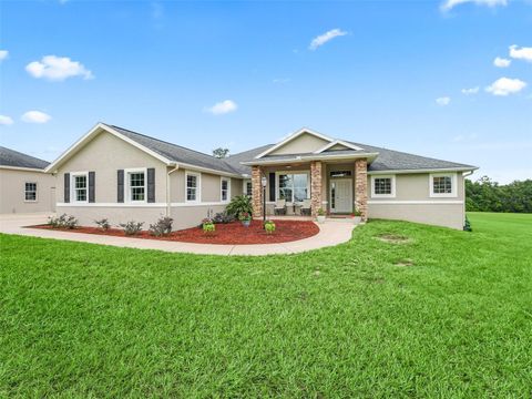 Tiny photo for 41525 Saddle Ridge Lane, Weirsdale, FL 32195 (MLS # G5099447)