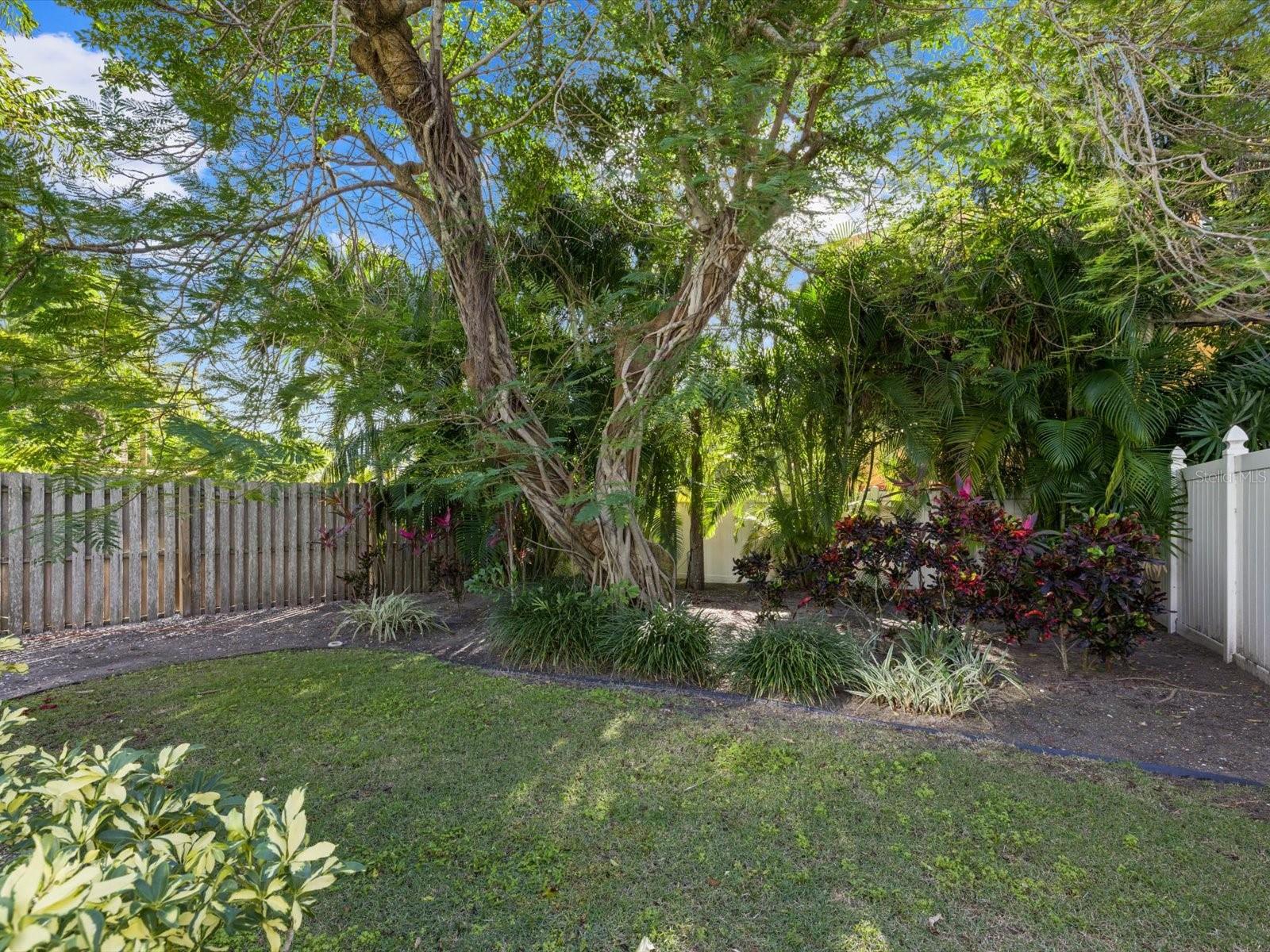 CANAL VILLAS - Residential