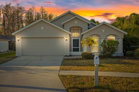 A home in WESLEY CHAPEL