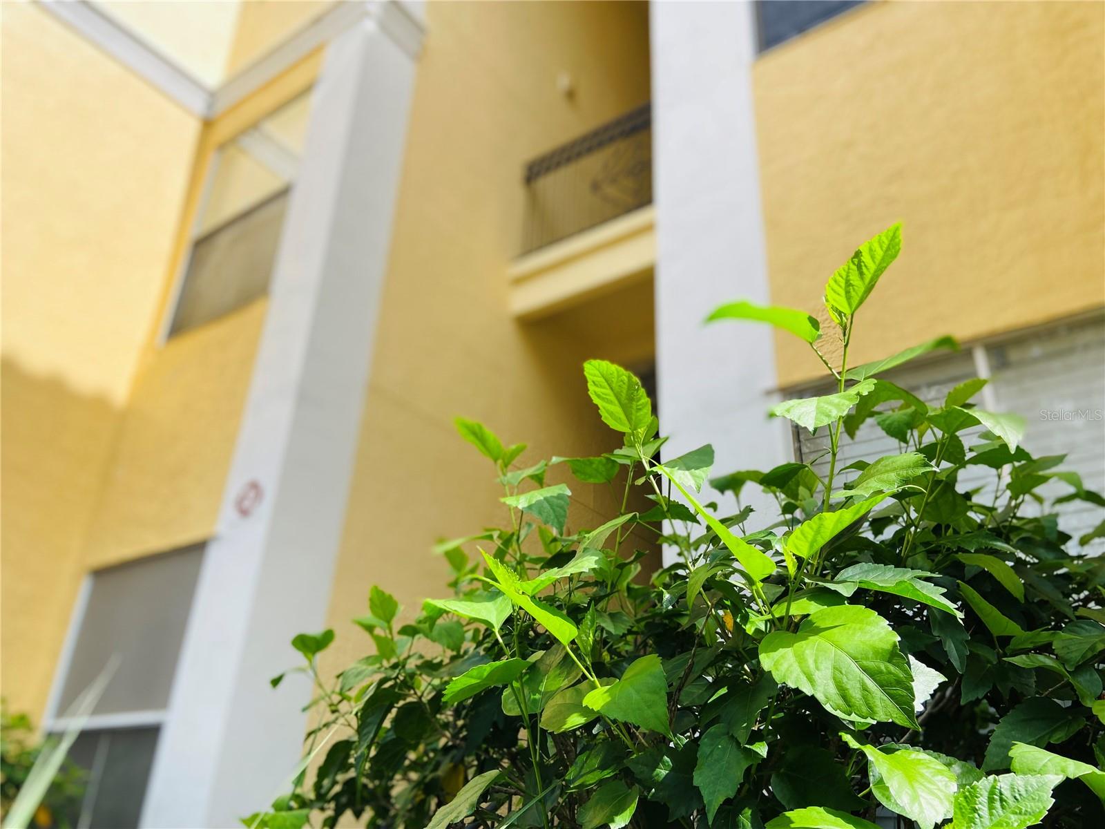 VISCONTI WEST - Residential Lease