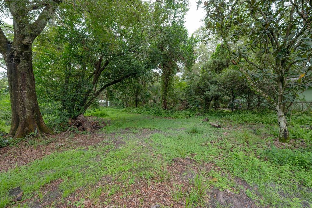 Photo of 10411 N Woodmere Road, Tampa, FL 33617 (MLS # TB8477245)