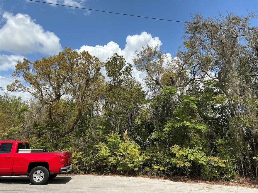 Build your dream home or invest in one of Ocala’s fastest-growing communities with this prime 0.24-acre vacant lot in the desirable Silver Springs Shores subdivision. Located on a paved road with power available, this build-ready homesite offers a fantastic opportunity with no environmental issues, helping save time and development costs. Nestled in a well-established residential area, this property is surrounded by beautiful new and existing homes, offering the perfect blend of peaceful neighborhood living and everyday convenience. Enjoy easy access to shopping, dining, schools, medical facilities, parks, and outdoor recreation, while being just a short drive from downtown Ocala, the renowned Silver Springs State Park, and major roadways for convenient commuting. Whether you're looking to build your custom dream home or secure a valuable piece of land in a thriving Central Florida market, this lot offers outstanding potential in a highly sought-after location.