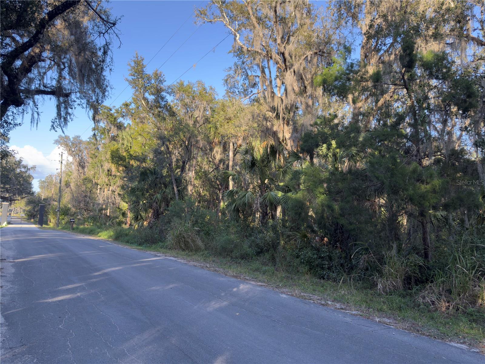 TREASURE ISLAND AVENUE