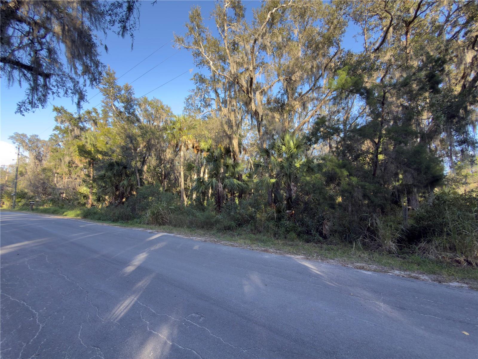 TREASURE ISLAND AVENUE