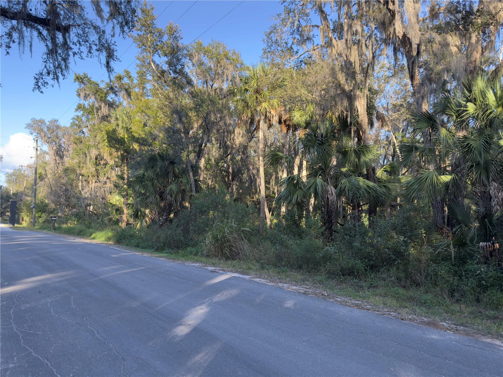 TREASURE ISLAND AVENUE