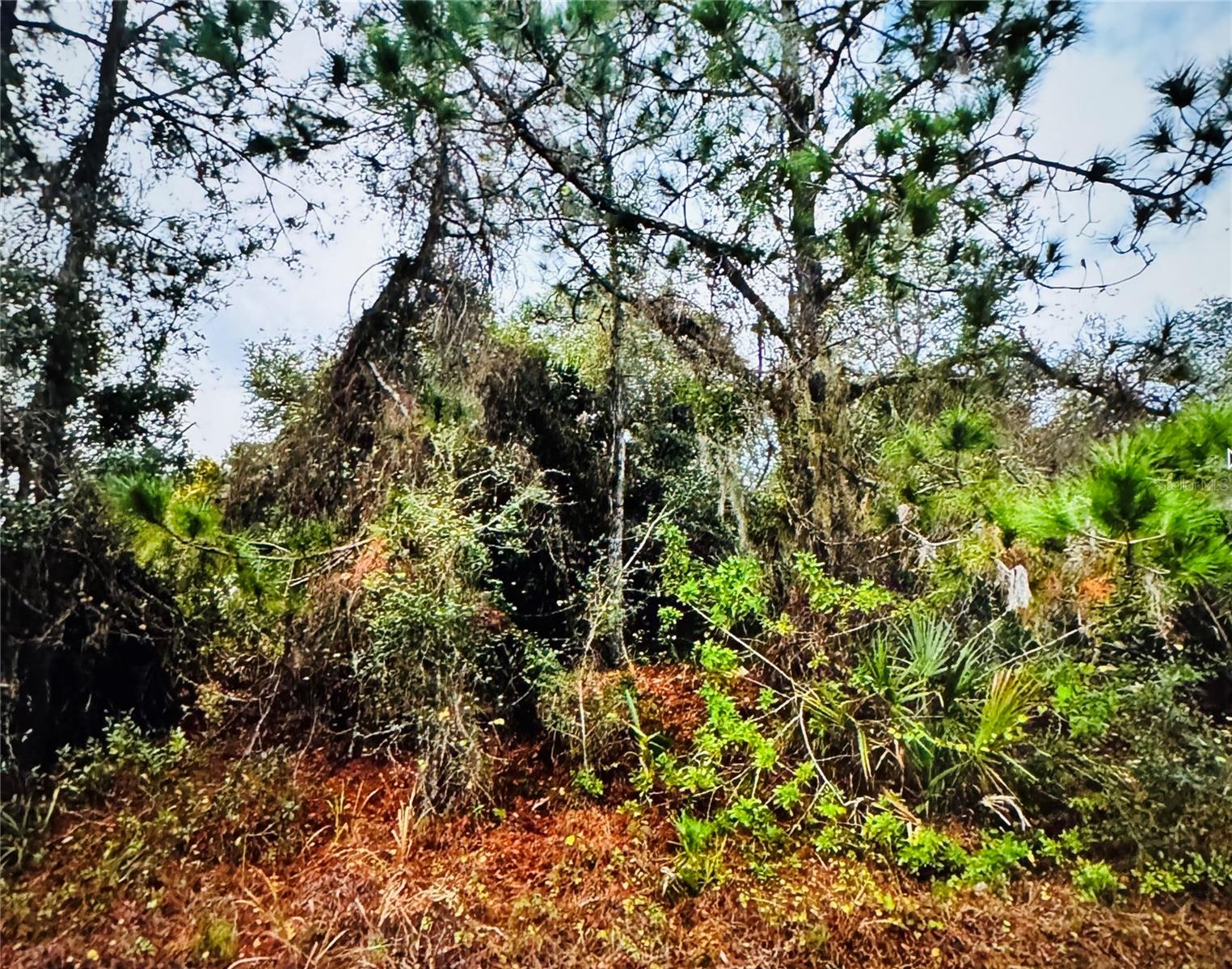 This vacant residential lot, located on Fielding Street in North Port, Florida, offers the perfect opportunity to build your dream home or make a smart investment. Situated in Flood Zone X, this property is not in a high-risk flood area, providing peace of mind and potentially lower insurance costs.
North Port is one of the fastest-growing cities in Southwest Florida, with new development happening all around. The lot is conveniently located near shopping, dining, schools, and recreational facilities. Easy access to I-75 and US-41 makes commuting a breeze, and the stunning Gulf Coast beaches are just a short drive away.
Whether you’re looking to build a primary residence or an investment property, this lot provides a blank canvas with endless possibilities in a thriving community. Don’t miss out on this chance to secure your piece of North Port!