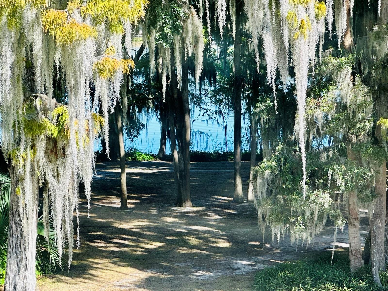 EUSTIS KINGS POINTE CONDO - Residential