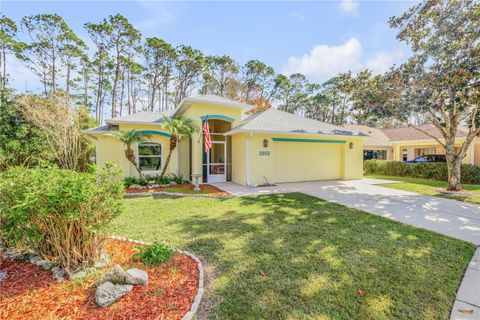 A home in NEW SMYRNA BEACH