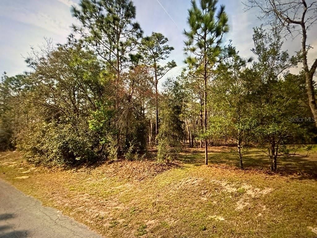 Photo of SW 68th Loop, Dunnellon, FL 34432 (MLS # W7879504)
