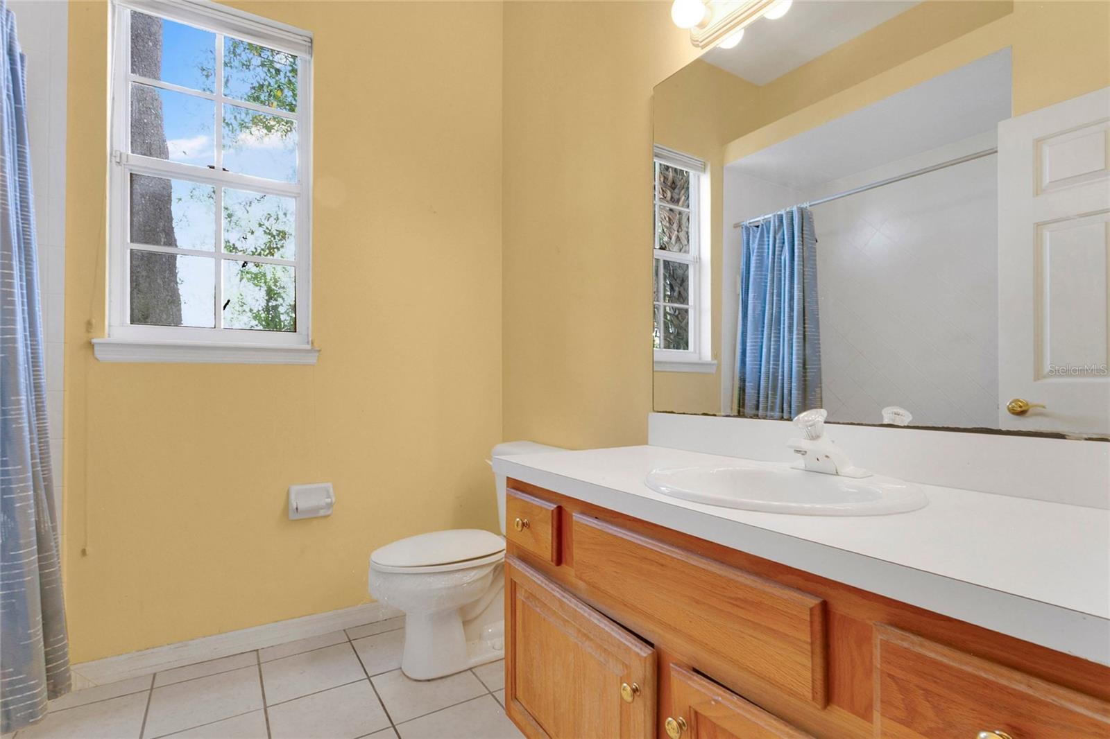 MOUNT DORA PINECREST SUB - Residential
