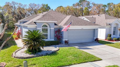 5237 GATO DEL SOL CIRCLE WESLEY CHAPEL FL 33544