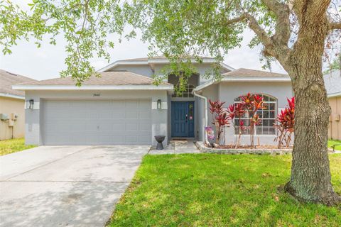 34447 BLUE ASH COURT WESLEY CHAPEL FL 33545
