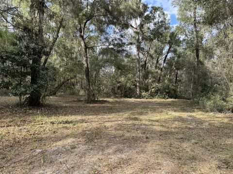 22422 NW 91 COURT ROAD MICANOPY FL 32667
