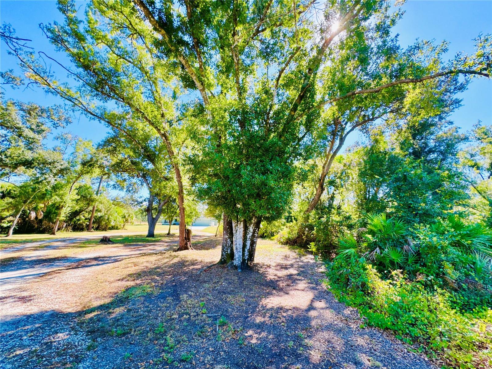 NORTH PORT CHARLOTTE ESTATES ADD 02 - Residential