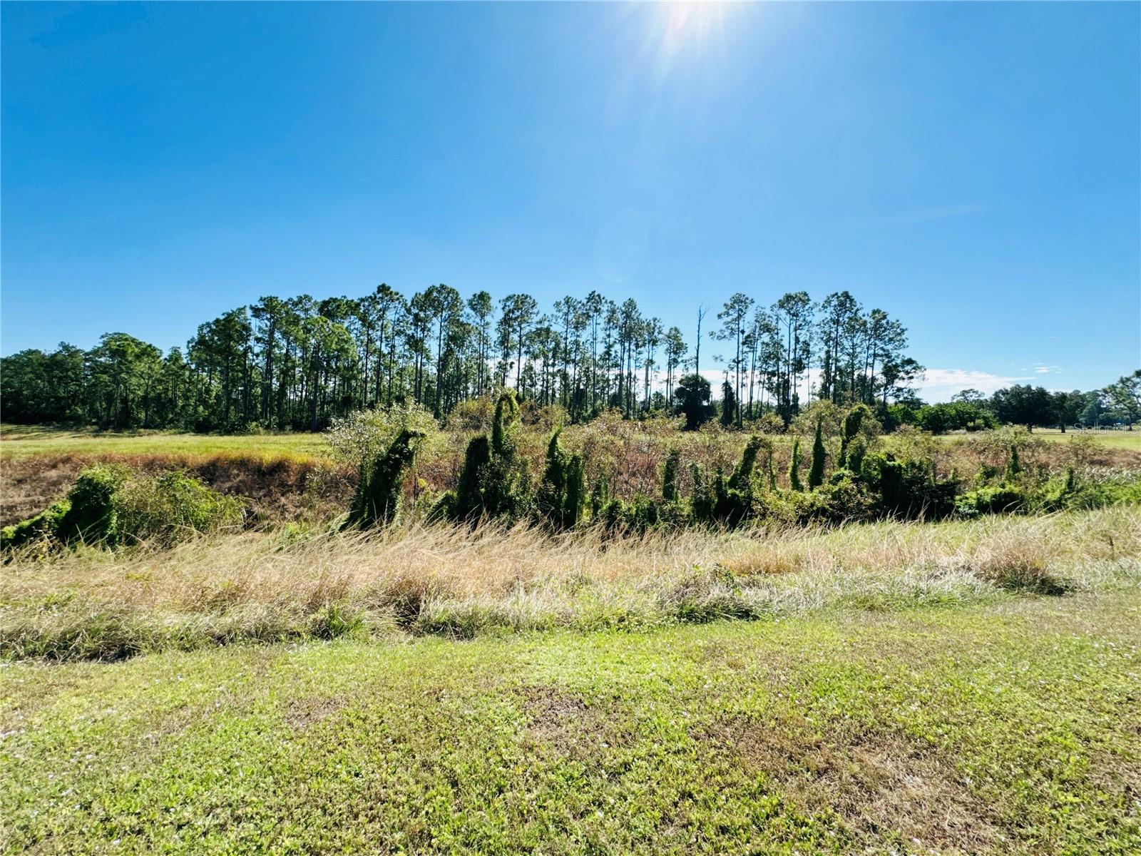 NORTH PORT CHARLOTTE ESTATES ADD 02 - Residential