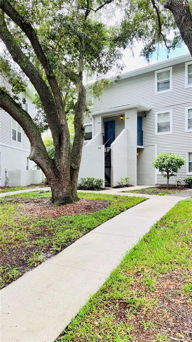 7156 E BANK DRIVE 7156