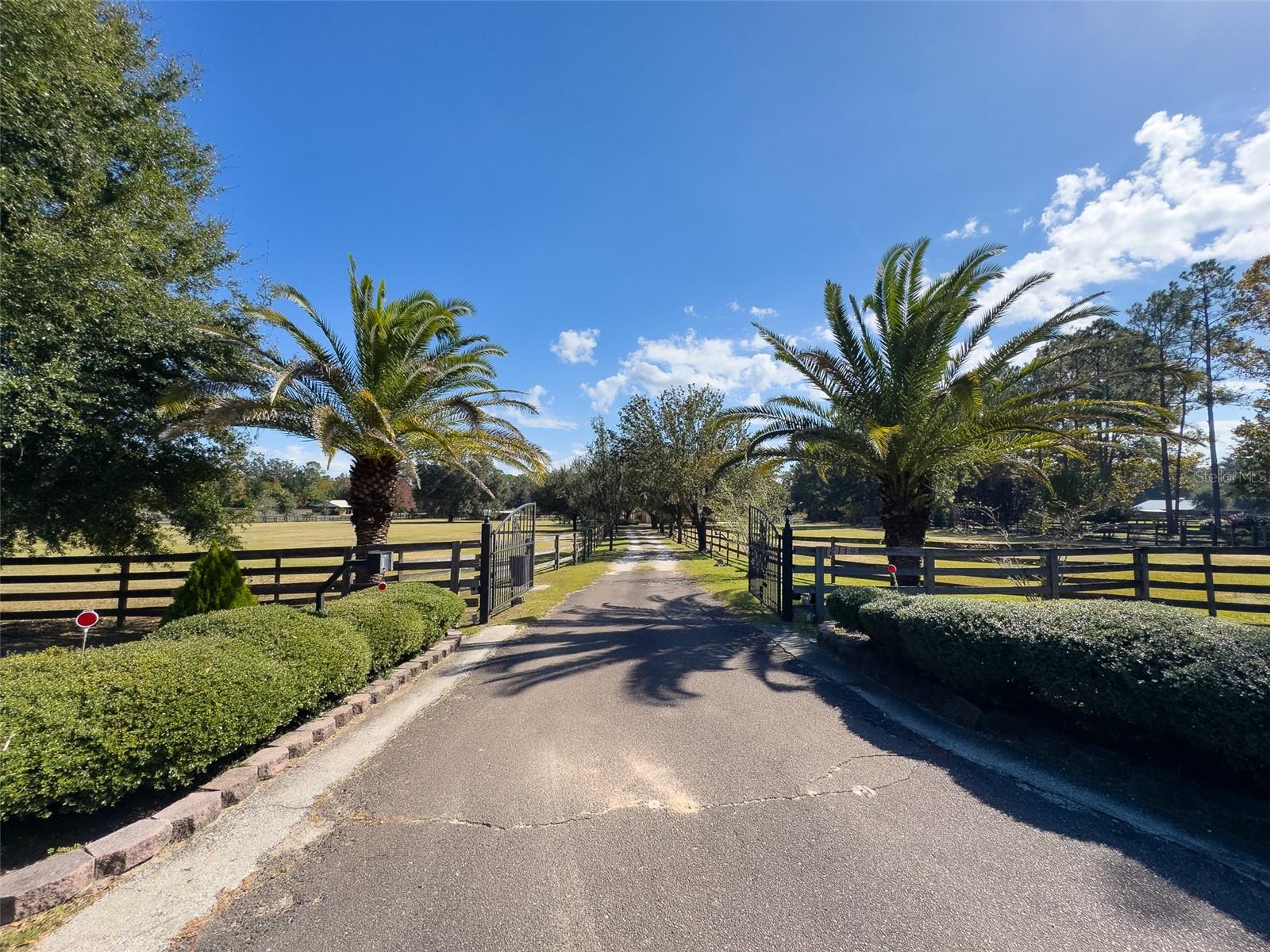 SHAW FARMS OF ALACHUA - Residential