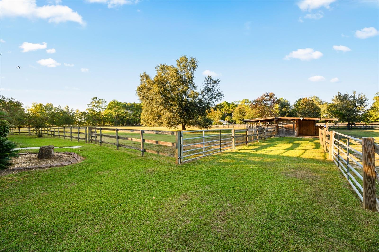 SHAW FARMS OF ALACHUA - Residential