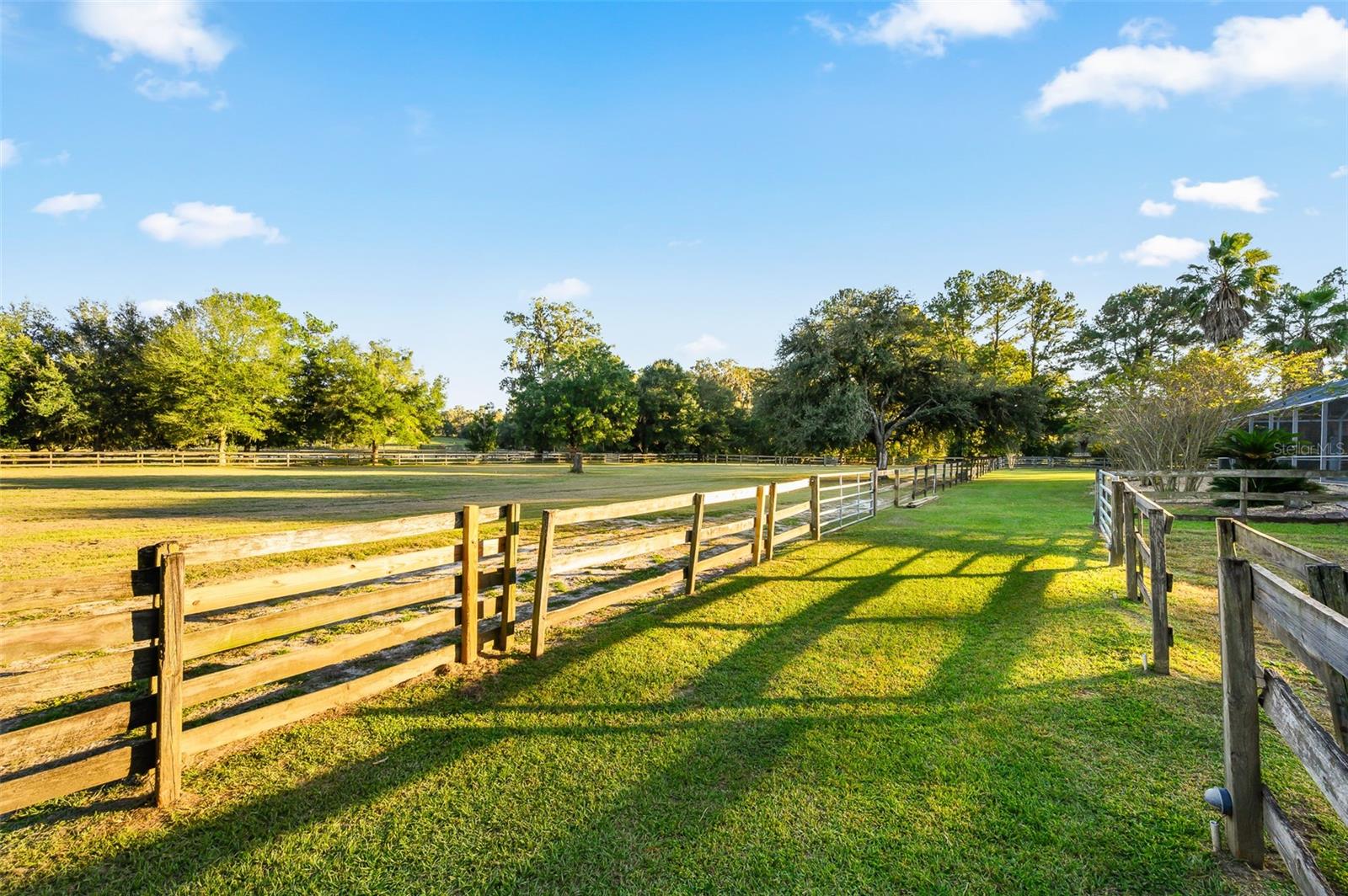 SHAW FARMS OF ALACHUA - Residential