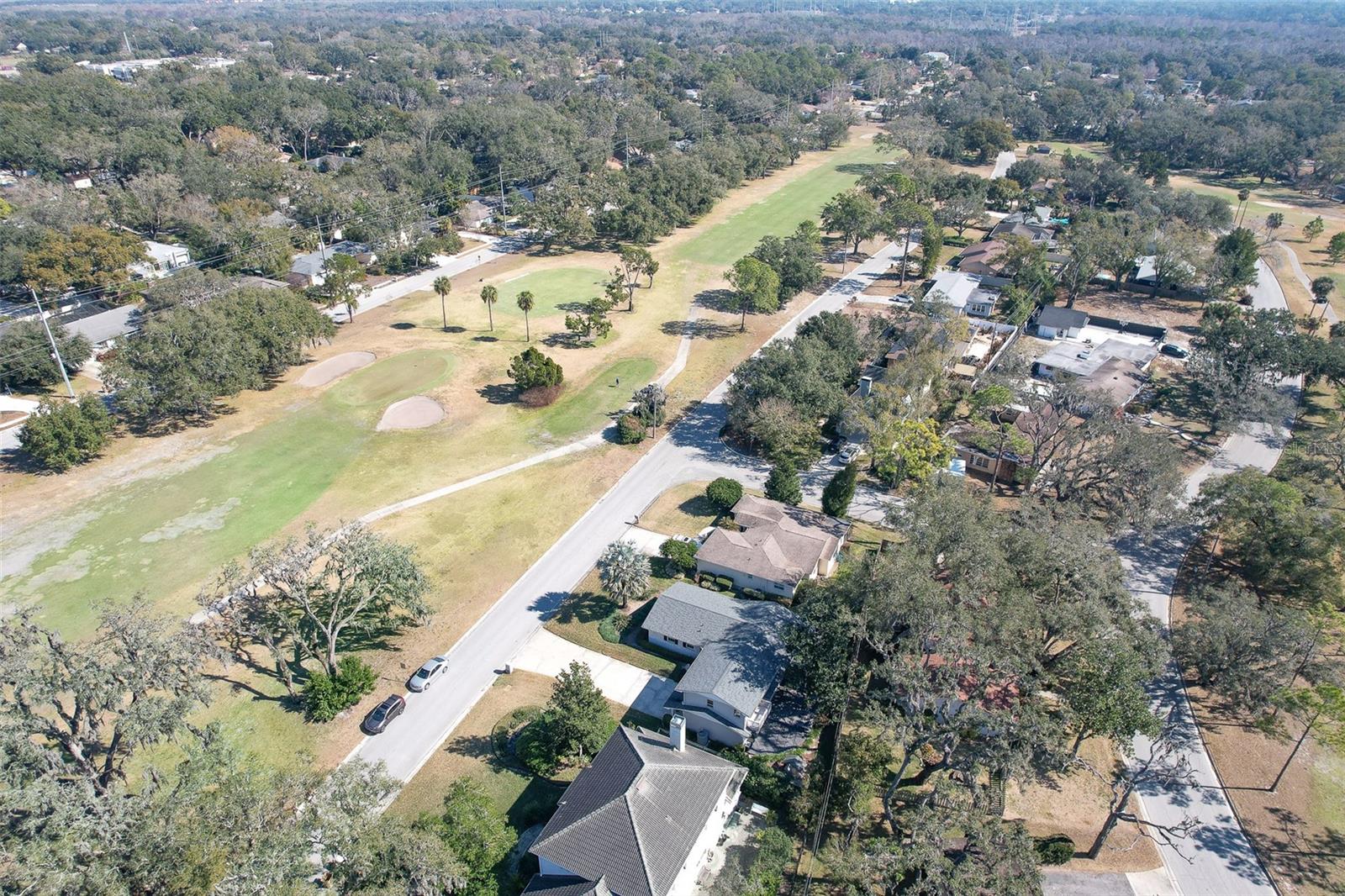TEMPLE TERRACE ESTATES - Residential