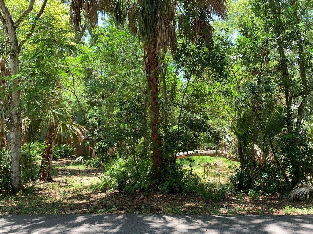 Photo of Center Avenue, Tarpon Springs, FL 34689 (MLS # U8247415)