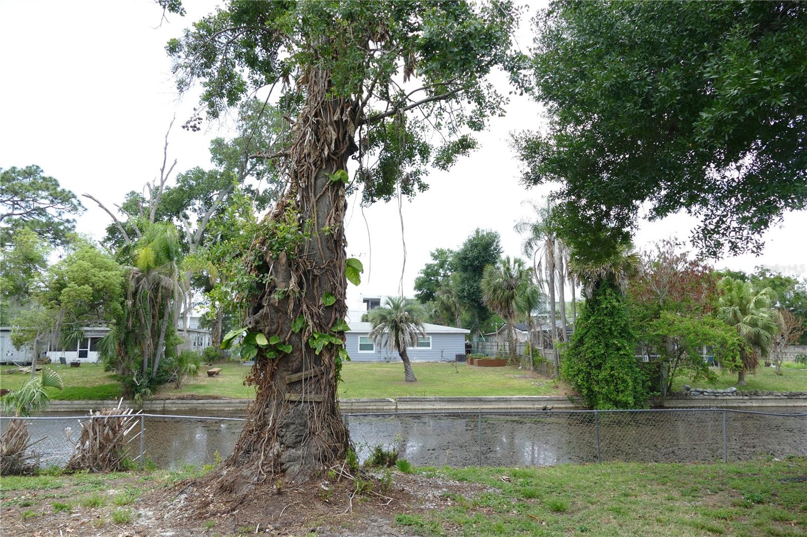 ISLE CATALINA - Residential