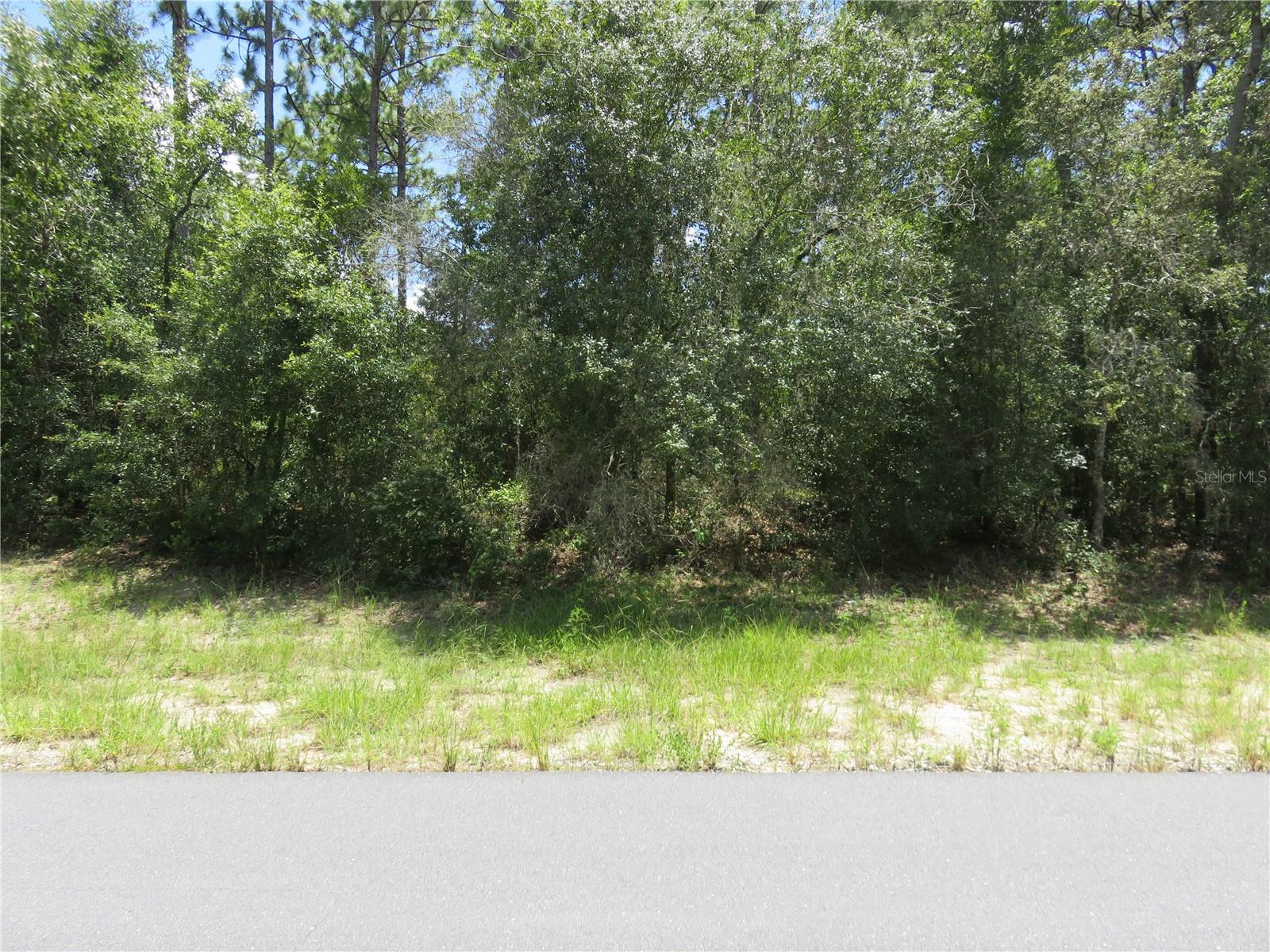 Great opportunity with this buildable lot that sits high over the roadway and not heavily treed. On a paved road and a house nest door, this is a benefitted lot meaning water connection costs are minimal. Build now or hold on for investment, either way you don't want to miss the chance to own this property.
