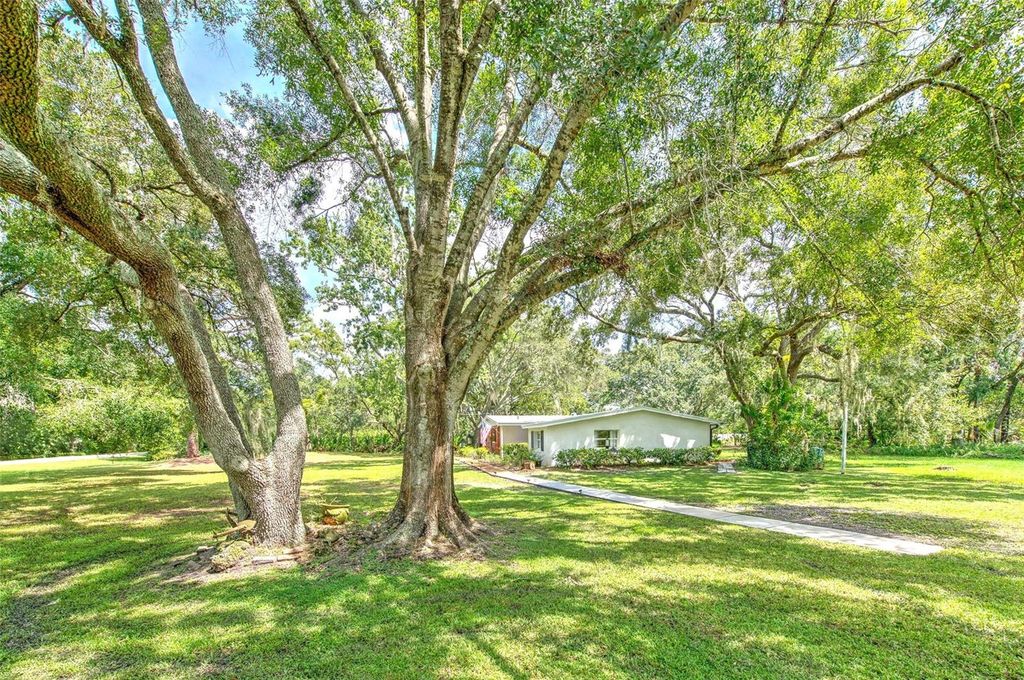 Photo of 17311 Darby Lane, Lutz, FL 33558 (MLS # TB8424086)