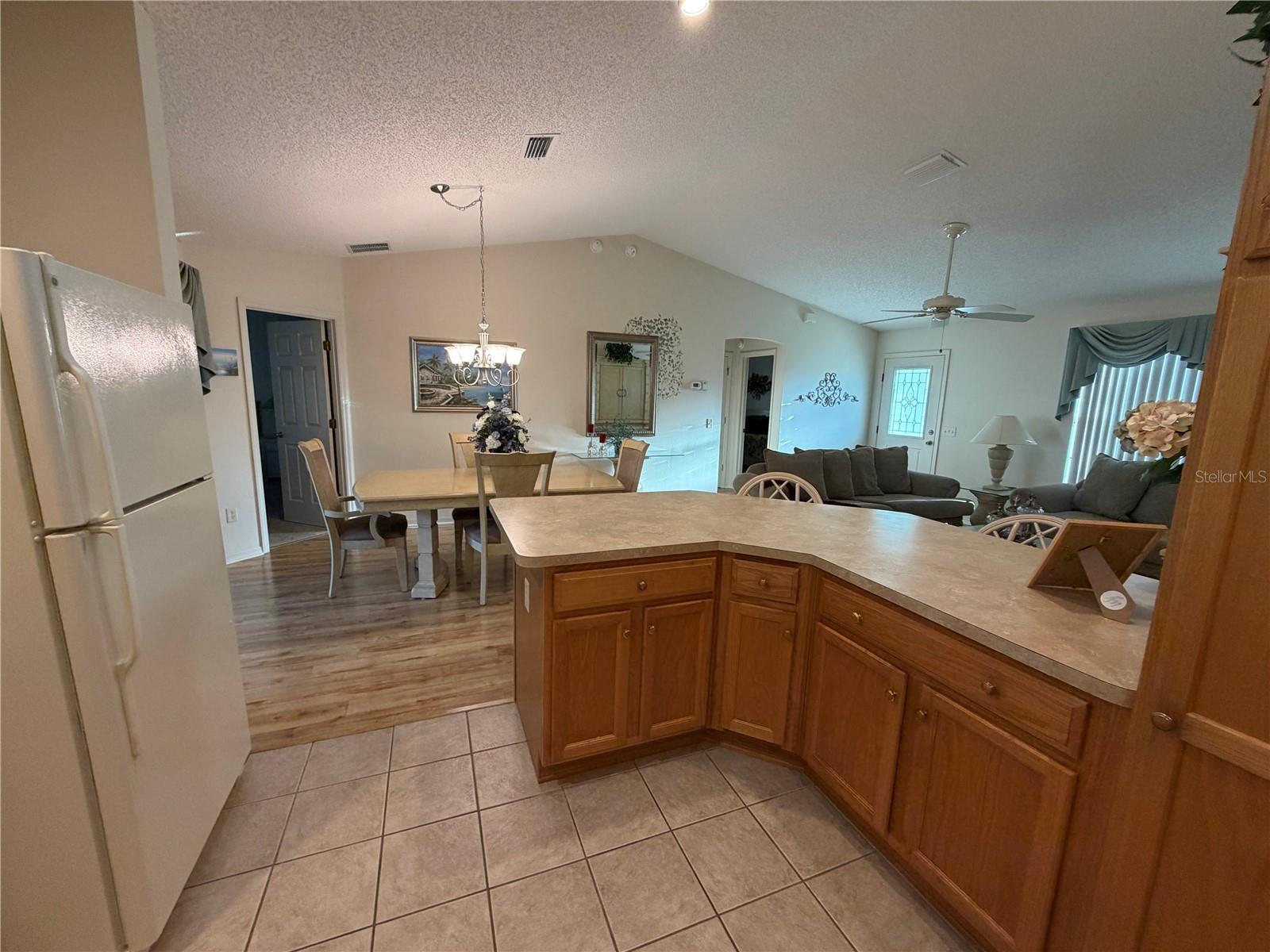 VILLAGES OF SUMTER - Residential