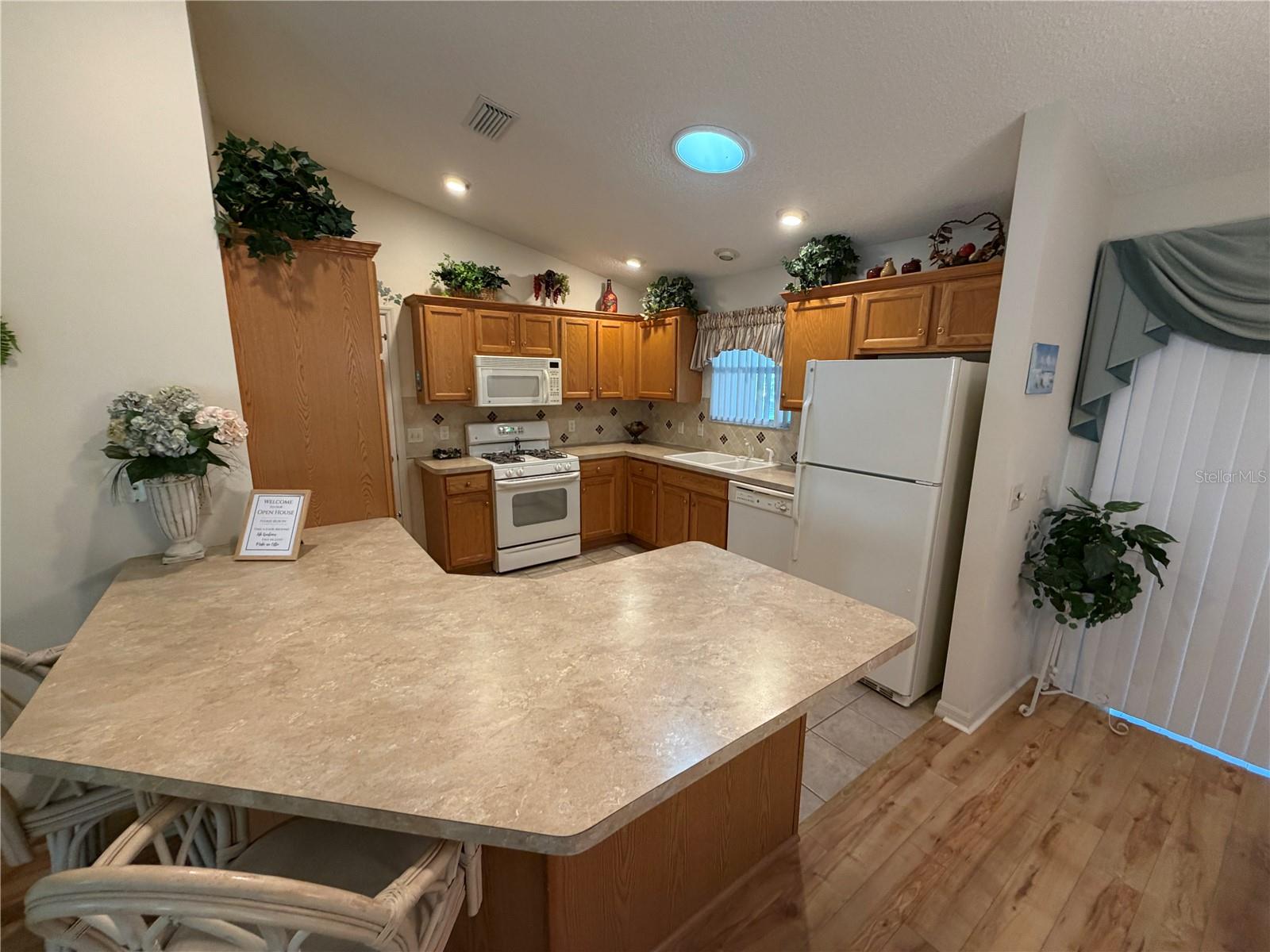VILLAGES OF SUMTER - Residential