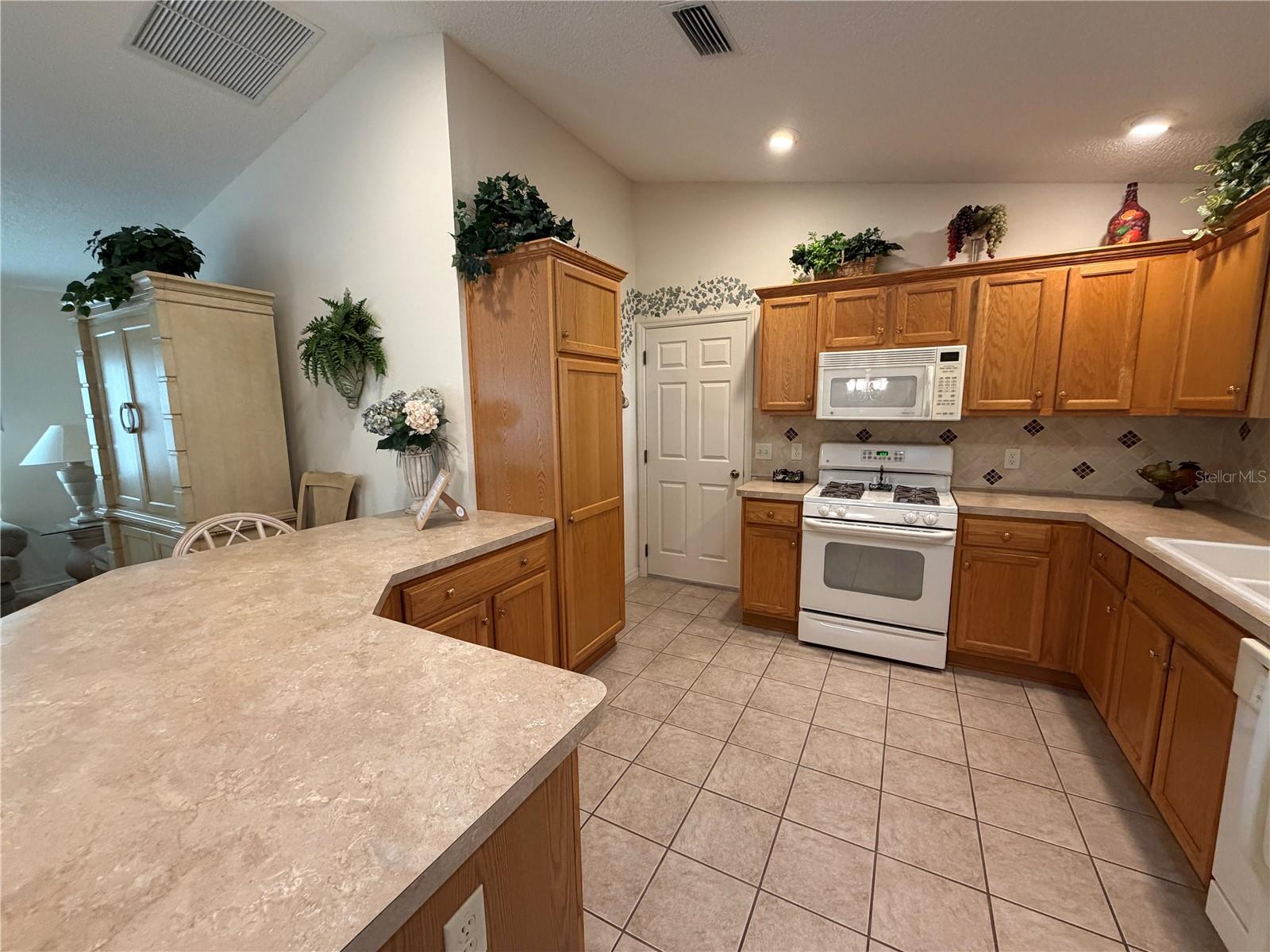 VILLAGES OF SUMTER - Residential