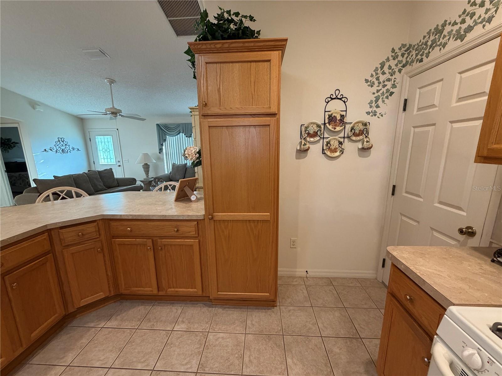 VILLAGES OF SUMTER - Residential