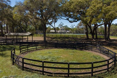 Tiny photo for 9605 S Magnolia Avenue, Ocala, FL 34476 (MLS # OM696206)